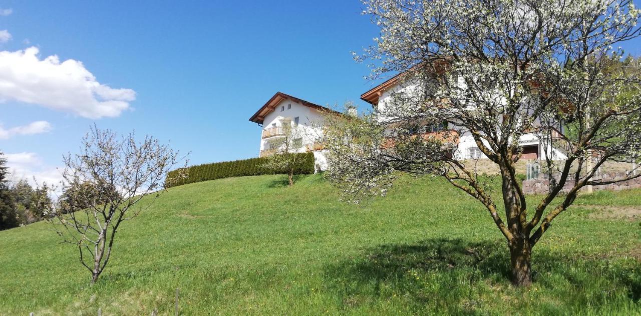 Agriturismo Ferienhof Gschloier (Adults Only) Lajen Zewnętrze zdjęcie