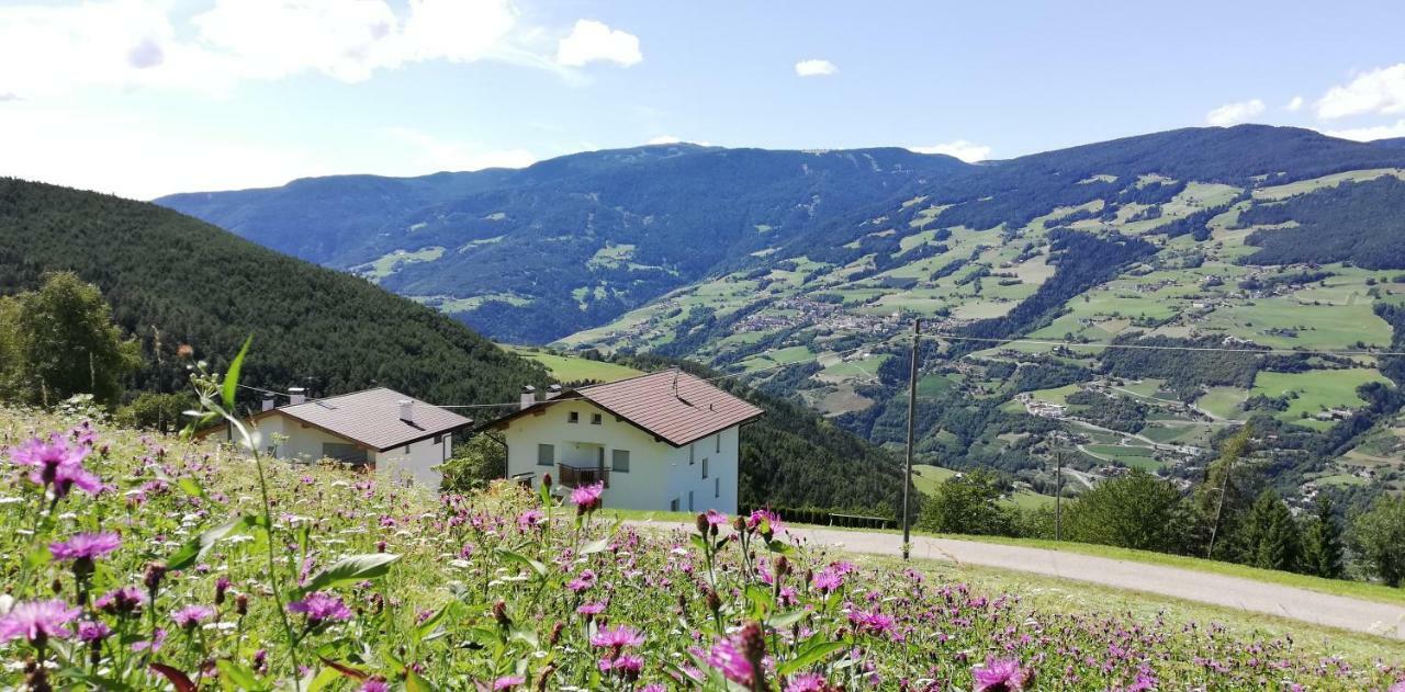 Agriturismo Ferienhof Gschloier (Adults Only) Lajen Zewnętrze zdjęcie